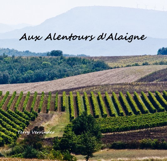 View Aux Alentours d'Alaigne by Terry Verrinder