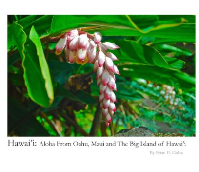Hawai'i: Aloha From Oahu, Maui and the Big Island of Hawai'i book cover