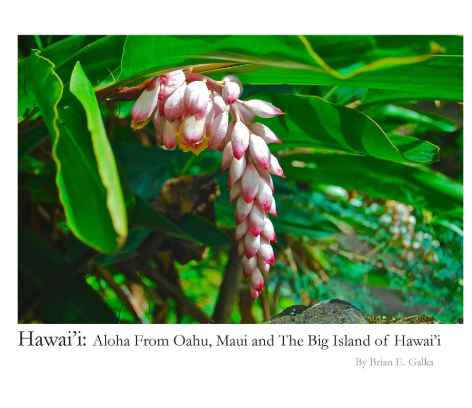 View Hawai'i: Aloha From Oahu, Maui and the Big Island of Hawai'i by Brian E. Galka