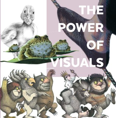 The Power Of Visuals book cover