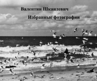 Valentin Shkandevich book cover