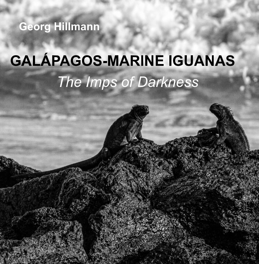 View Galápagos - Marine Iguanas by Georg Hillmann