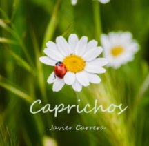 Caprichos book cover
