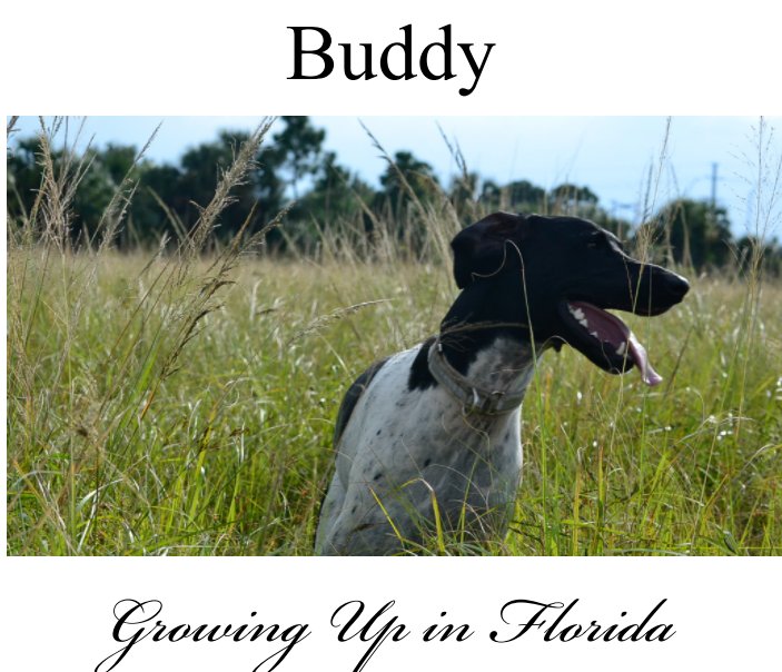 View Buddy by Michael Kelly Jr.