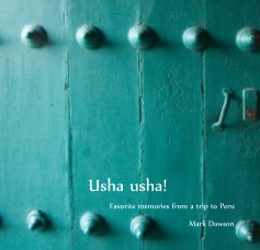 Usha usha! book cover
