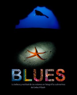 BLUES book cover