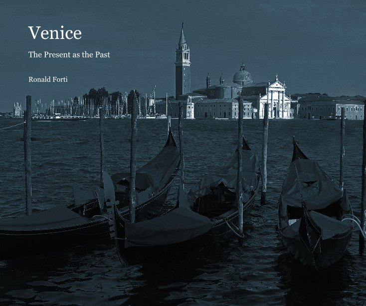 View Venice by Ronald Forti
