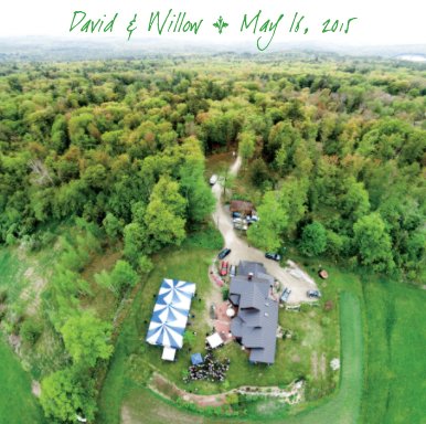 Willow and David 2015 book cover