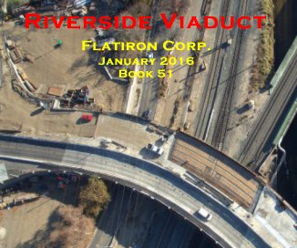 Riverside Viaduct book cover