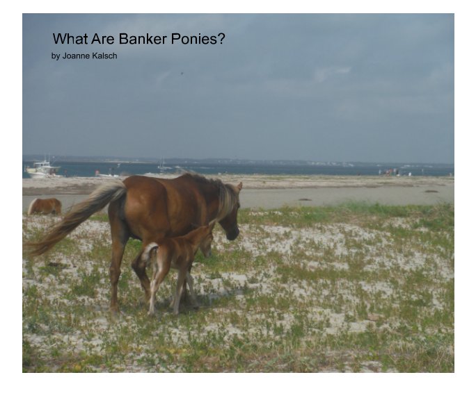 Visualizza What Are Banker Ponies? di Joanne Kalsch