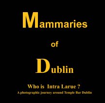 Mammaries of Dublin book cover