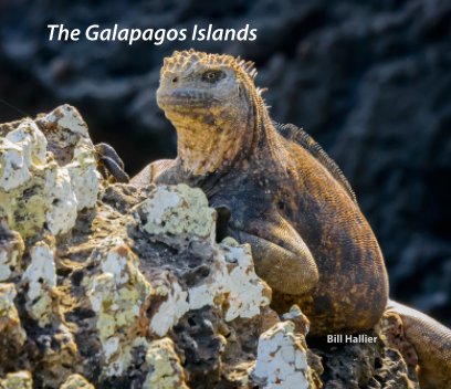The Galapagos book cover