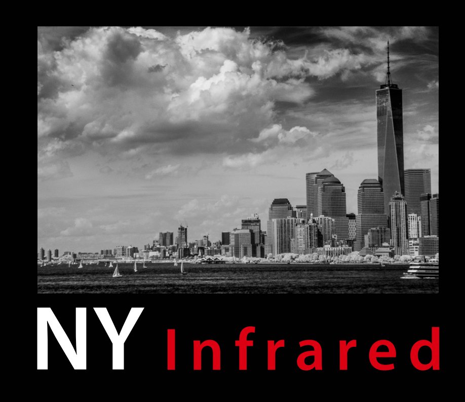 Ver NY infrared por Frank van der Panne