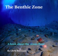 The Benthic Zone book cover