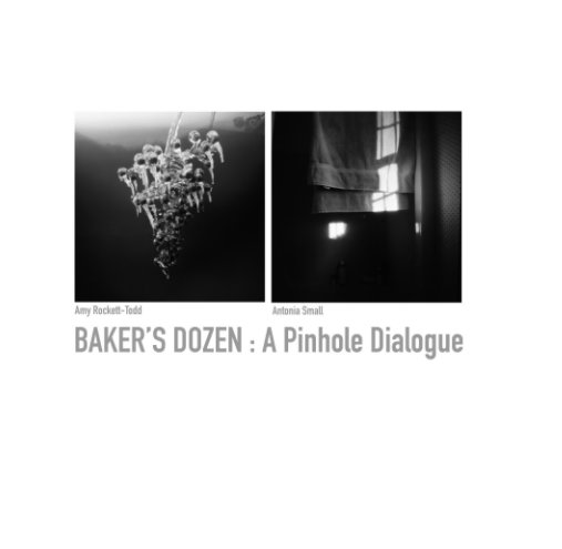 Visualizza Baker's Dozen : A Pinhole Dialogue di Antonia Small, Amy Rockett-Todd