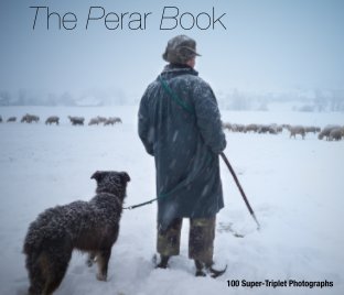 The Perar Book book cover