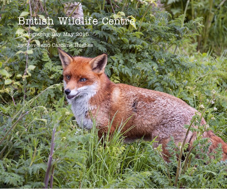 View British Wildlife Centre by Steve and Caroline Hughes
