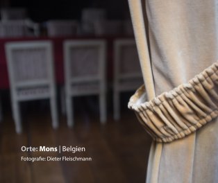 Orte: Mons/Belgien book cover