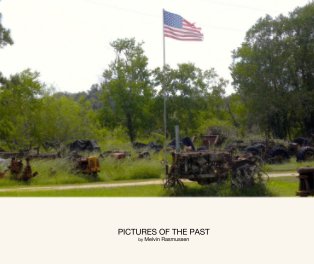 Pictures of the Past book cover