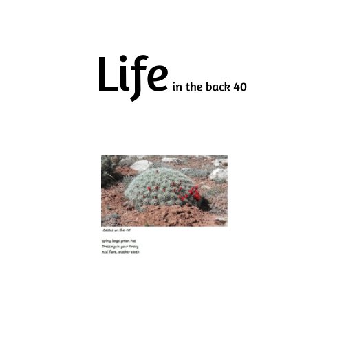 View Life in the back 40 by Katy Miller Rowe