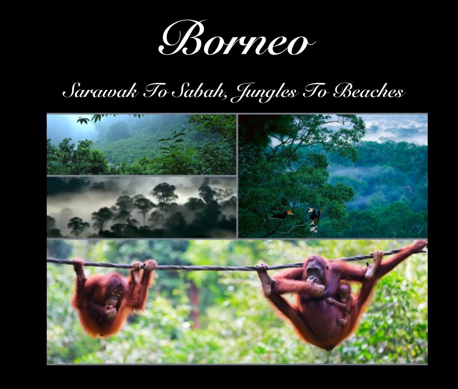 View Borneo by Guy Constable