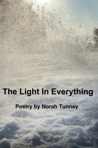 The Light In Everything book cover