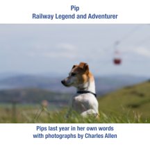 Pip, Railway Legend and Adventurer (Paperback) book cover