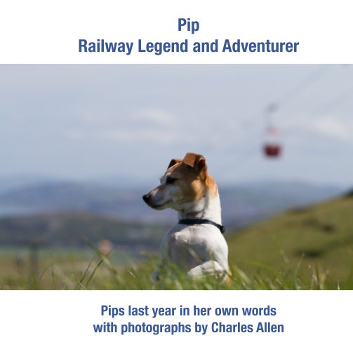 Bekijk Pip, Railway Legend and Adventurer op Charles Allen