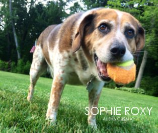 The Dog Days of Sophie book cover
