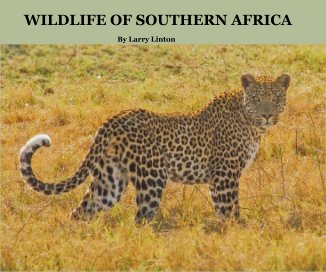 WILDLIFE OF SOUTHERN AFRICA book cover