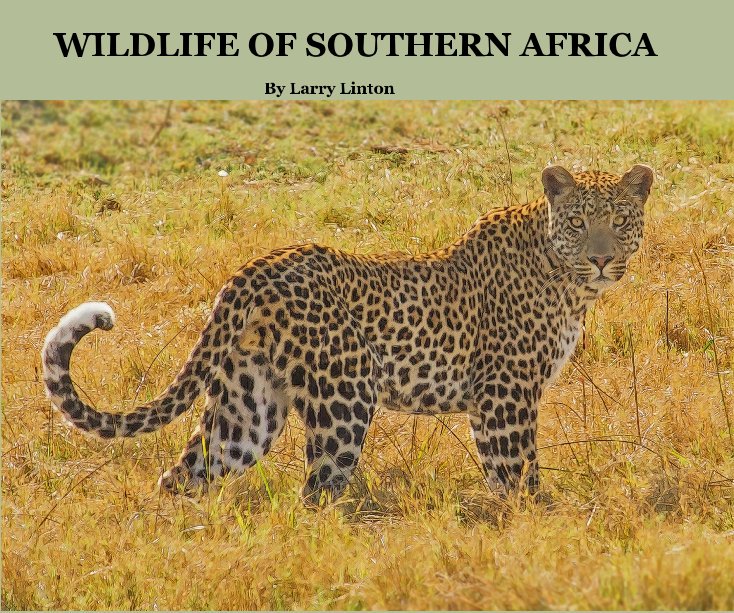 Ver WILDLIFE OF SOUTHERN AFRICA por Larry Linton