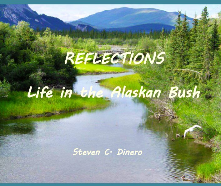 Reflections nach Steven C. Dinero anzeigen