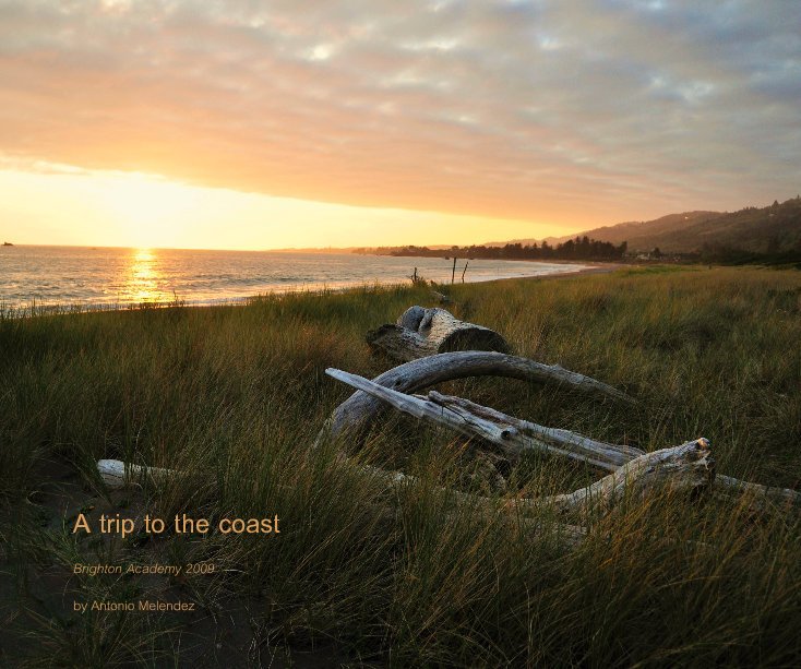 Ver A trip to the coast por Antonio Melendez