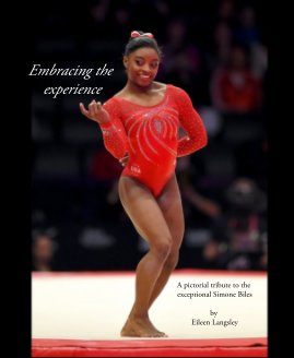 Embracing the experience book cover