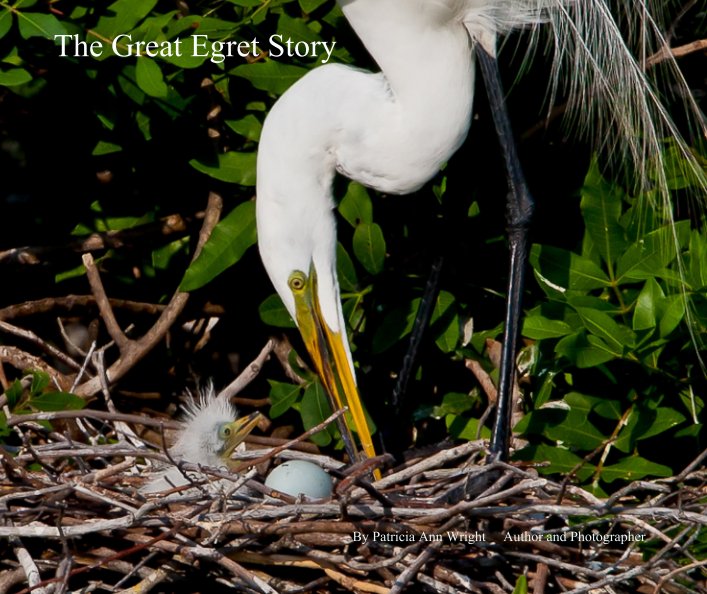 View The Great Egret Story by Patricia Ann Wright     Author and Photographer