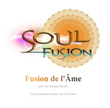 Fusion de l'Âme avec les Sceaux Sacrés book cover