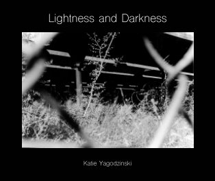 Lightness and Darkness book cover