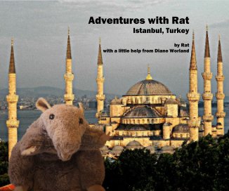 Adventures with Rat Istanbul, Turkey book cover