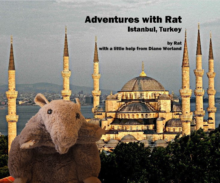 Ver Adventures with Rat Istanbul, Turkey por Rat with a little help from Diane Worland