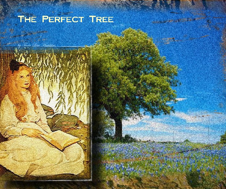 View The Perfect Tree by Tara Lisa Hawkins