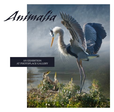 View Animalia, Softcover by PhotoPlace Gallery