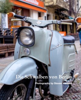 Die Schwalben von Berlin book cover
