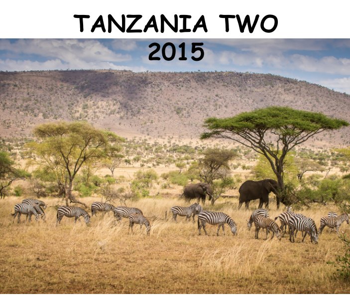 View Tanzania Two by Kaye Kelly