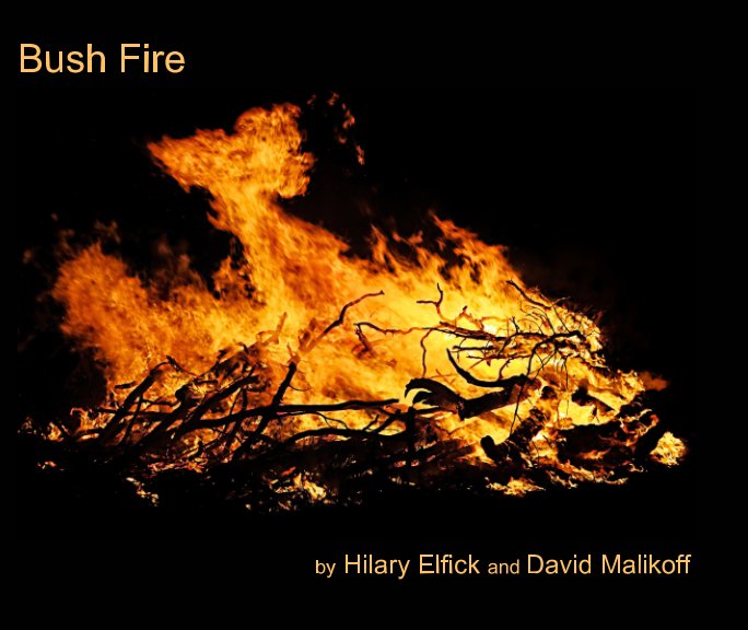 Ver Bush Fire por Hilary Elfick, David Malikoff