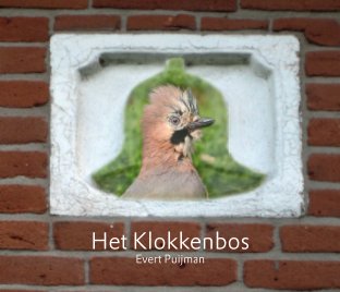 Het Klokkenbos book cover
