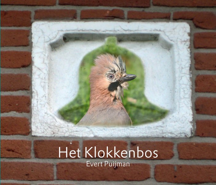 View Het Klokkenbos by Evert Puijman