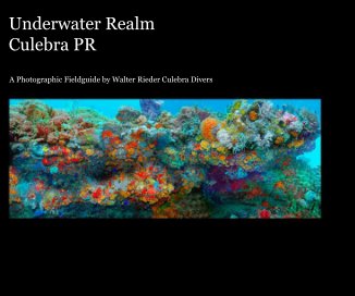 Underwater Realm Culebra PR book cover
