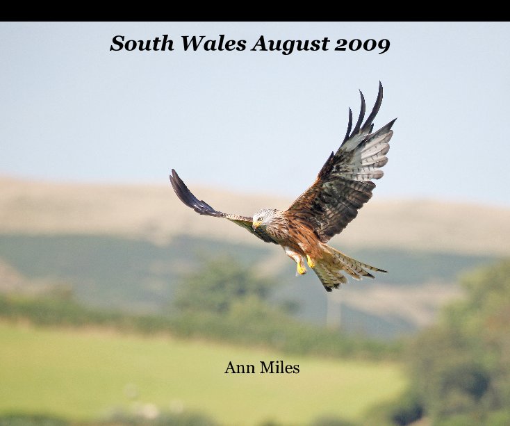 Ver South Wales August 2009 por Ann Miles
