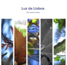 Luz de Lisboa book cover
