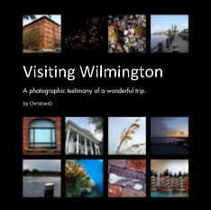 Visiting Wilmington book cover